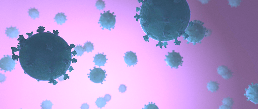 Maatregelen Card Supply Nederland